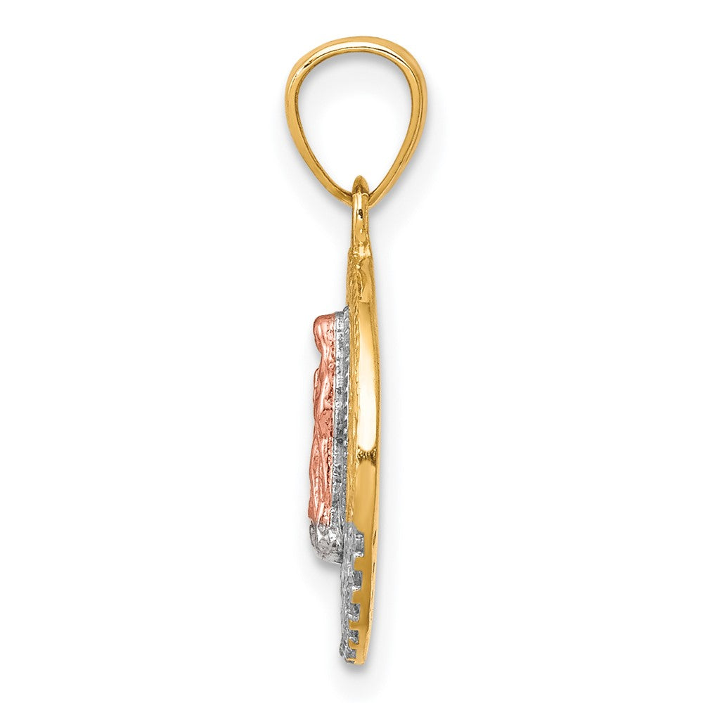 10K Two-Tone w/ Rhodium CZ Lady Of Guadalupe Round Pendant - Product Photo