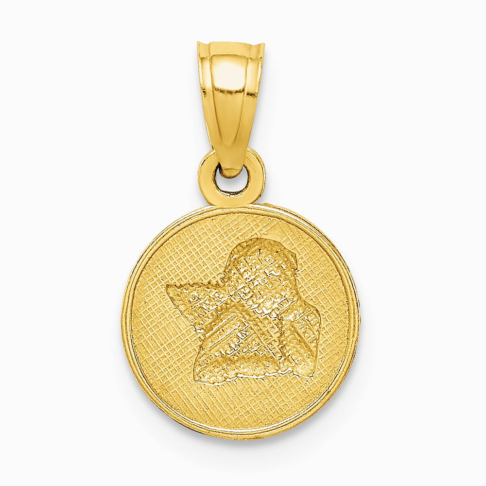 10K Yellow with Rhodium W/Rhodium Polished and Textured Angel Pendant - Product Photo
