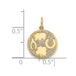 10K Polished CZ Good Luck Medallion Charm - Product Photo
