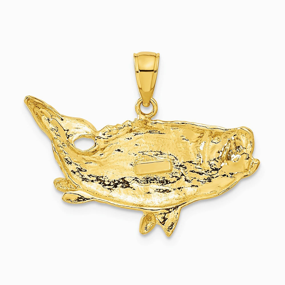 10K / 14K Yellow Gold Polished Open-Backed Bass Fish Pendant - Product Photo