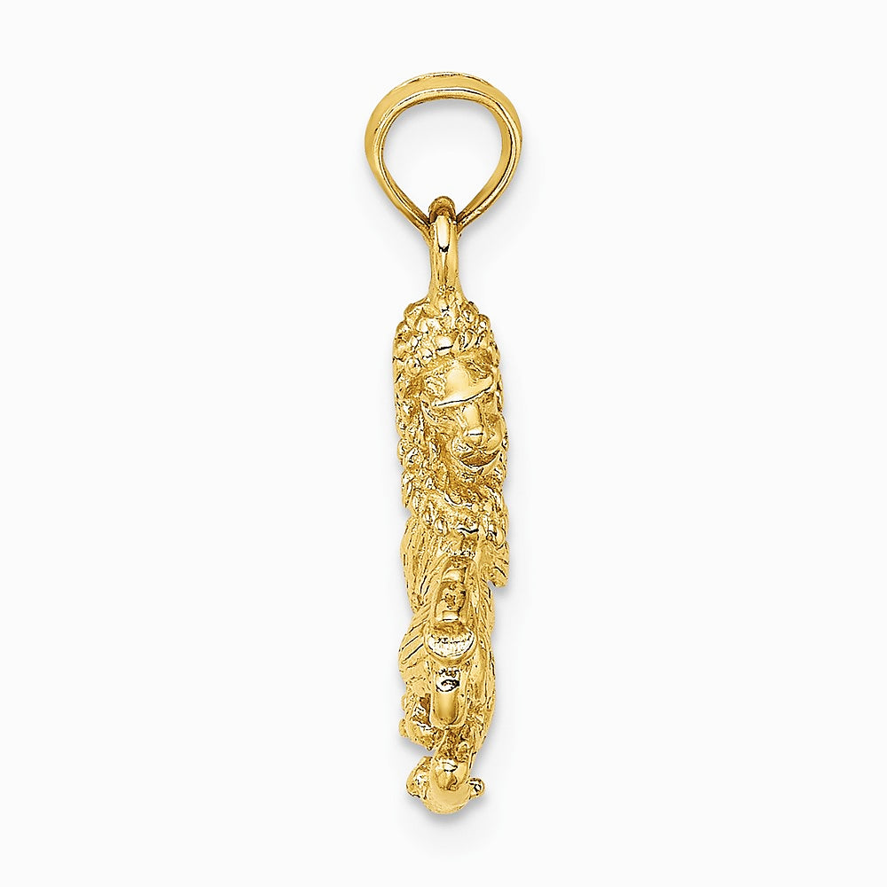 10K / 14K Yellow Gold 3-D Leo Zodiac Pendant - Product Photo
