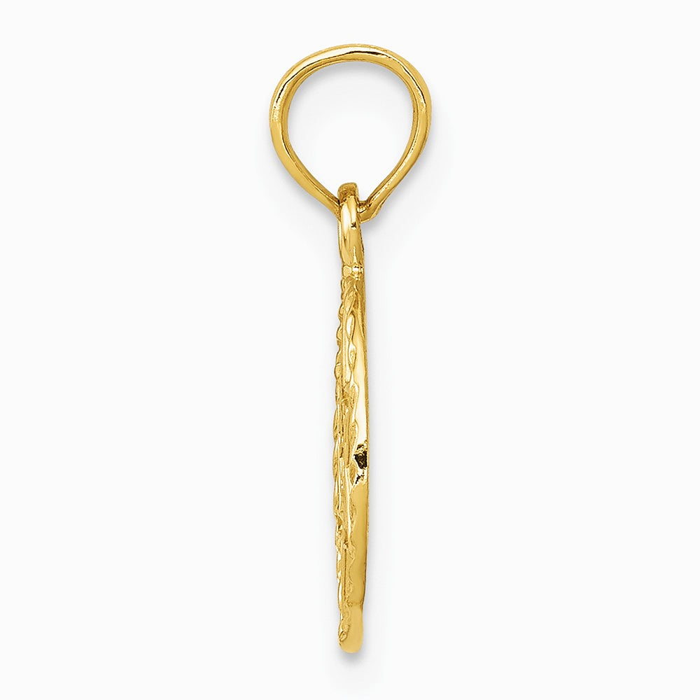 10K / 14K Yellow Gold Star of David in Circle Frame Pendant - Product Photo