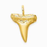 10K / 14K Yellow Gold Shark Tooth Pendant - Product Photo
