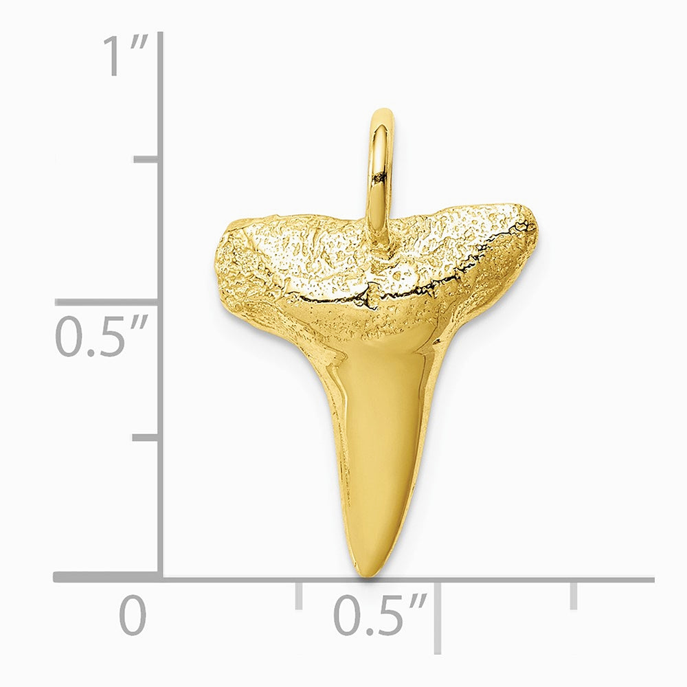 10K / 14K Yellow Gold Shark Tooth Pendant - Product Photo