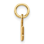 10K Satin NANA Charm - Product Photo