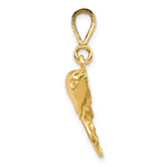 10K Yellow Gold Solid Polished Twin Dolphins Charm - Product Photo