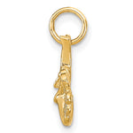 10K Yellow Gold Solid Horseshoe Wishbone and Shamrock Charm - Product Photo