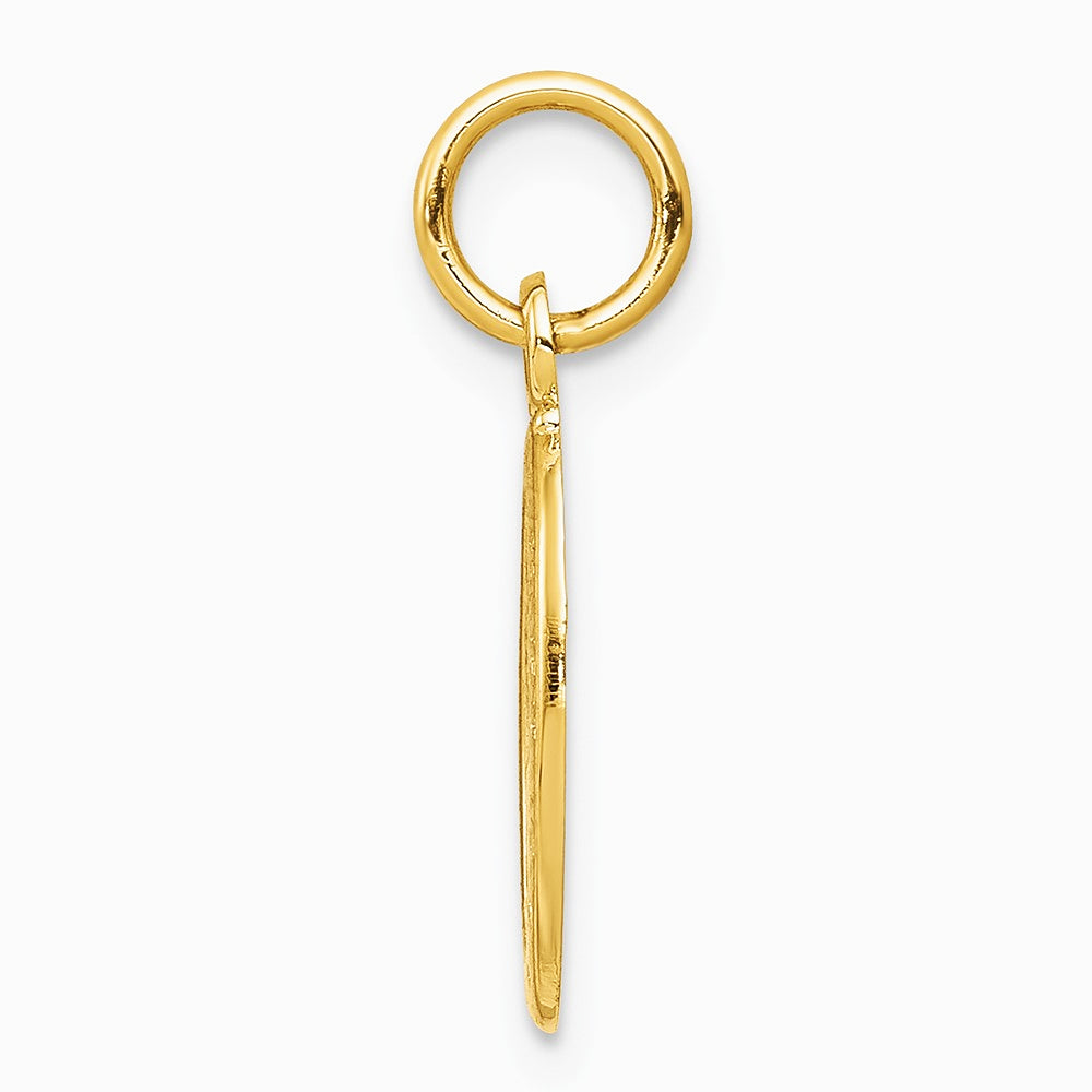 10K / 14K Yellow Gold Solid Satin Polished St. Christopher Pendant - Product Photo