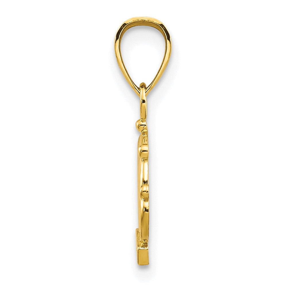 10k Crown Charm - Product Photo