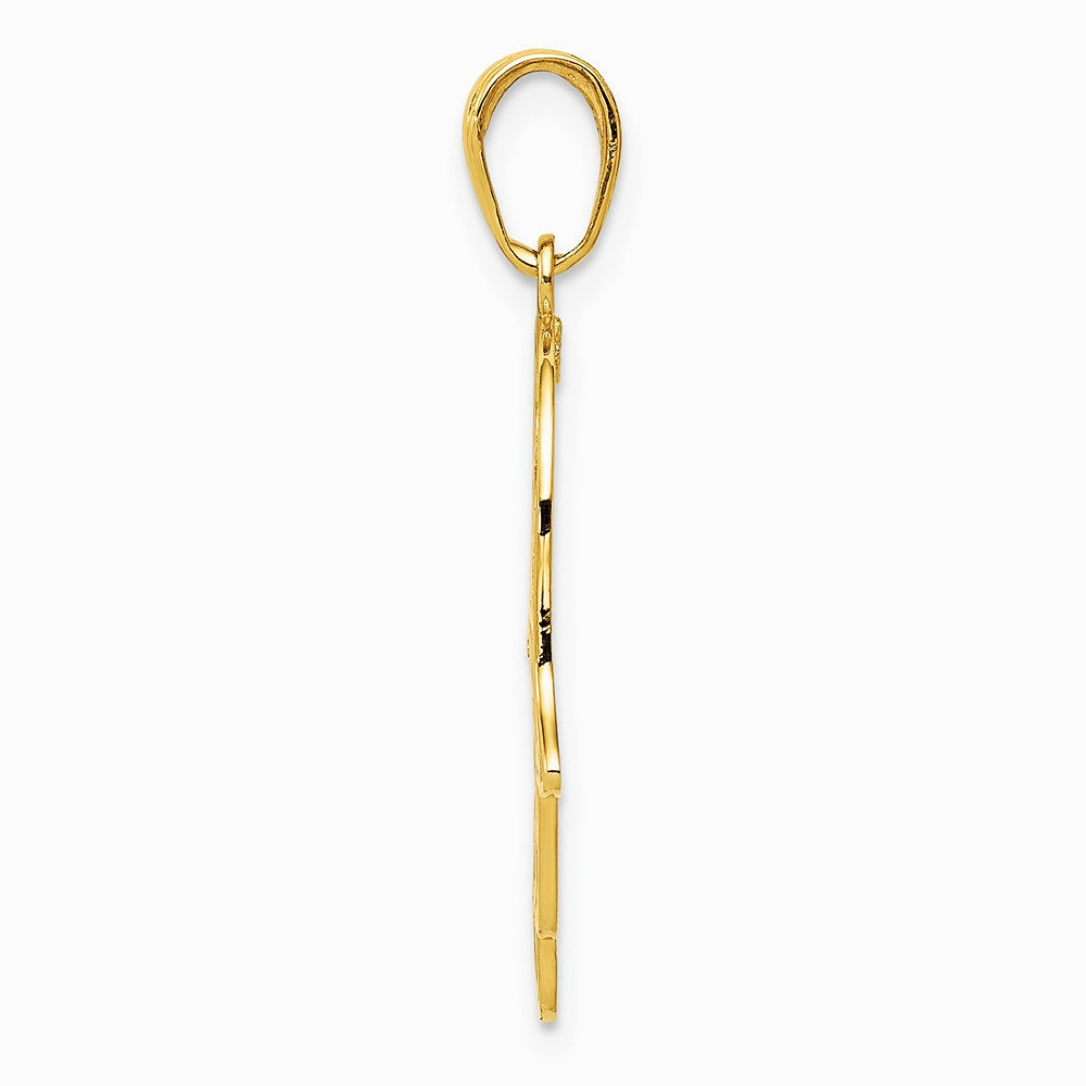 10K / 14K Yellow Gold Chamseh Pendant - Product Photo