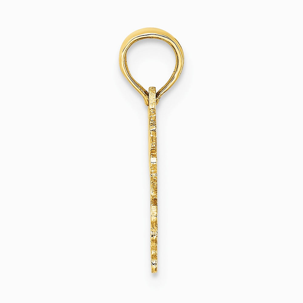 10K / 14K Yellow Gold 100% TAURUS Zodiac Charm - Product Photo