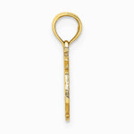 10K / 14K Yellow Gold 100% PISCES Zodiac Charm - Product Photo