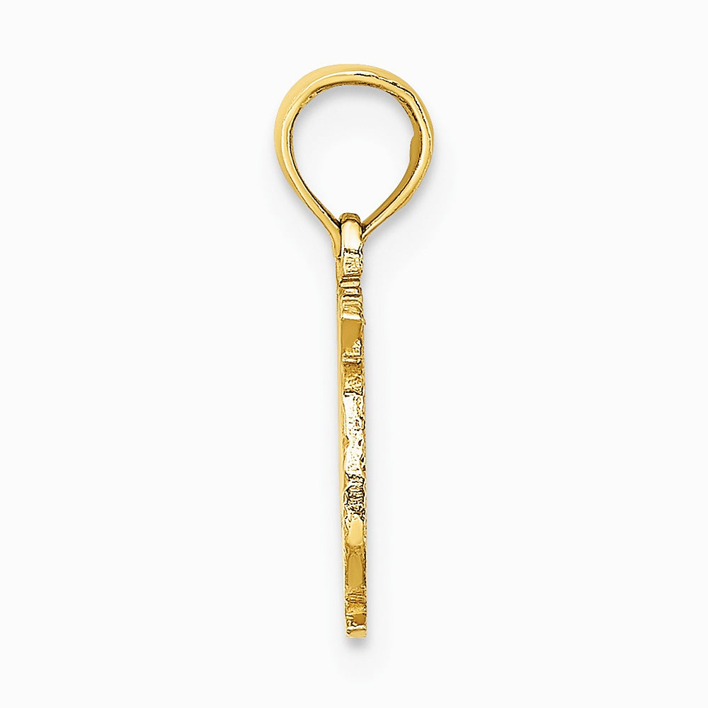 10K / 14K Yellow Gold 100% PISCES Zodiac Charm - Product Photo