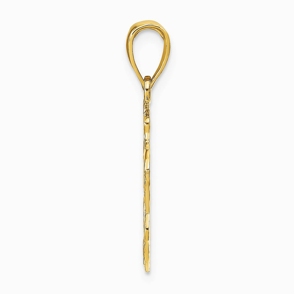 10K / 14K Yellow Gold Lion Head Pendant - Product Photo