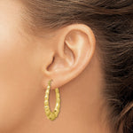 10K Yellow Gold Satin and Polished Hollow Fancy Earrings - Product Photo