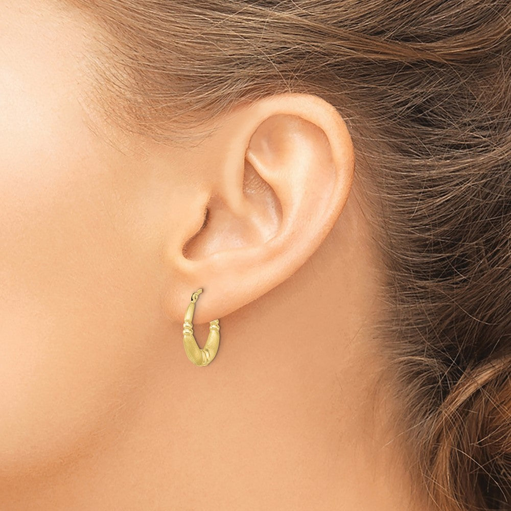 10k Polished and Satin Hoop Earrings - Product Photo