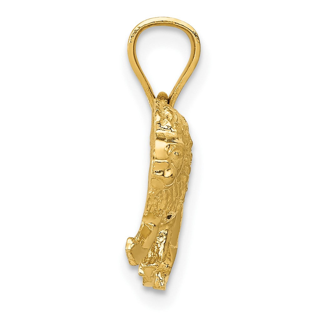 10K / 14K Yellow Gold Diamond-cut Lion Pendant - Product Photo