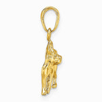 10K / 14K Yellow Gold Boston Terrier Dog Pendant - Product Photo