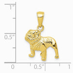 10K / 14K Yellow Gold Bulldog Pendant - Product Photo