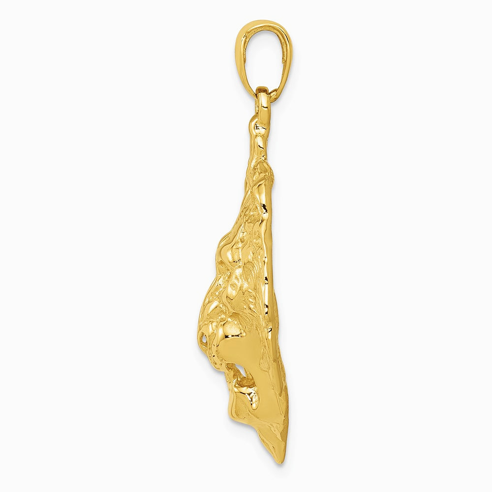 10K / 14K Yellow Gold Lion Charm - Product Photo
