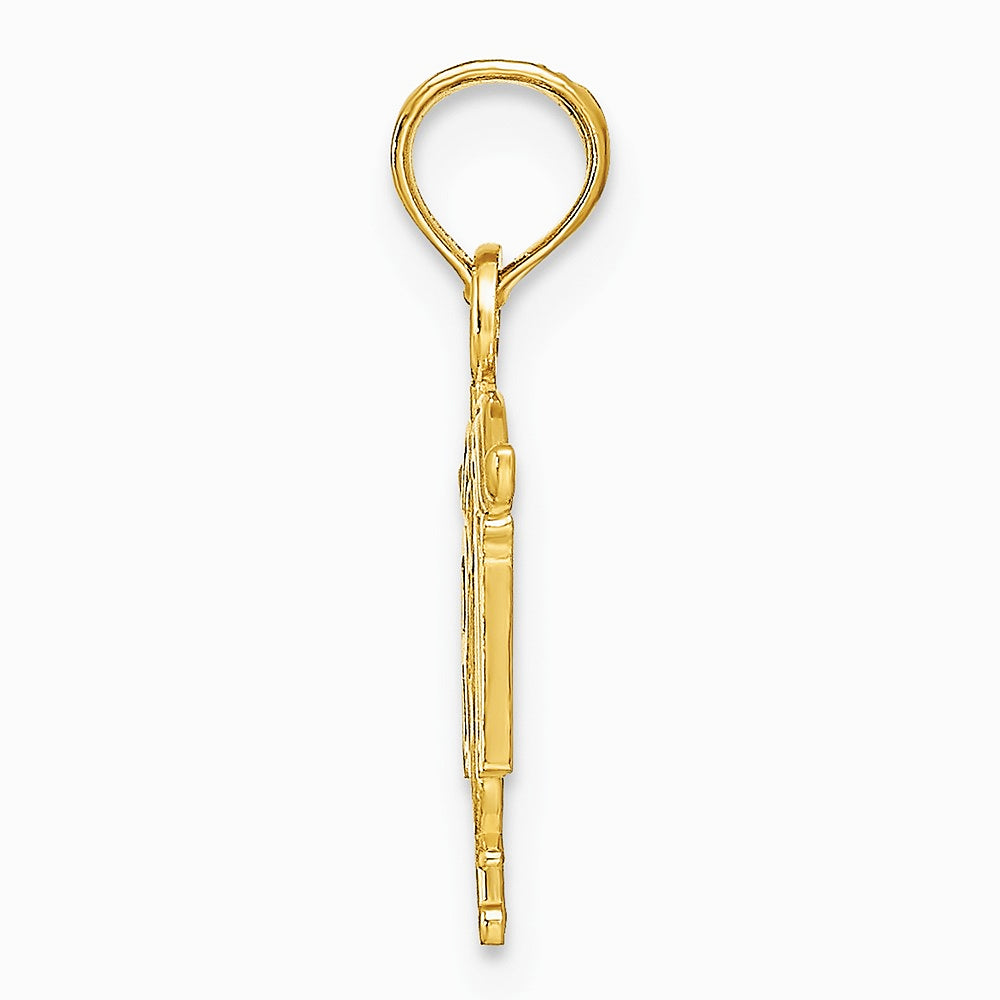 10K / 14K Yellow Gold Registered Nurse Pendant - Product Photo
