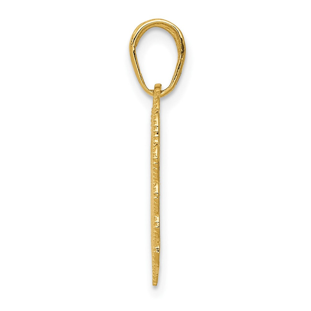 10K / 14K Yellow Gold Registered Nurse Heart Pendant - Product Photo