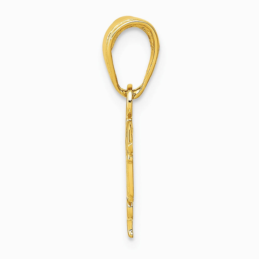 10K / 14K Yellow Gold LPN Symbol Pendant - Product Photo