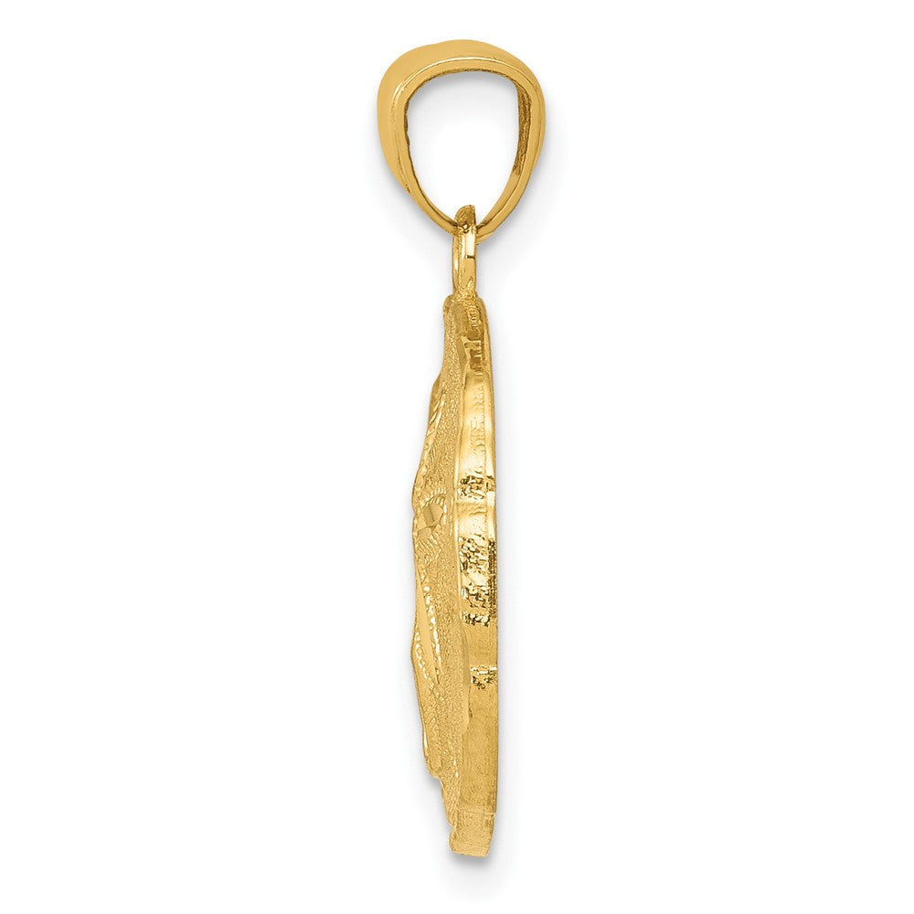10K / 14K Yellow Gold Gold Polished Large Sand Dollar Pendant - Product Photo