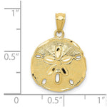10K / 14K Yellow Gold Gold Polished Large Sand Dollar Pendant - Product Photo