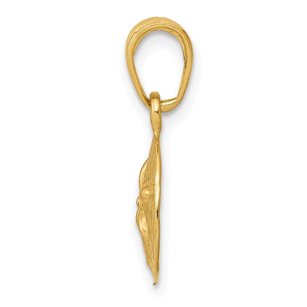 10K / 14K Yellow Gold Sand Dollar Pendant - Product Photo