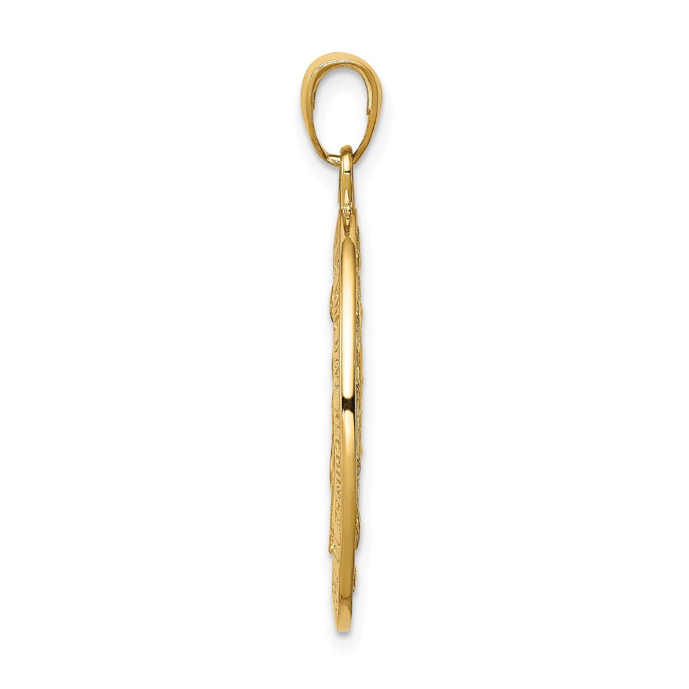 10K / 14K Yellow Gold Gold Satin and Polished Finish Miraculous Medal Pendant - Product Photo