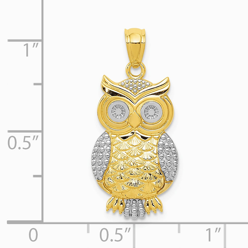 10K / 14K Yellow with Rhodium & Rhodium Polished & Textured Owl Pendant - Product Photo