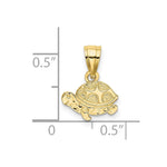 10K / 14K Yellow Gold Flat and Engraved Mini Turtle Charm - Product Photo