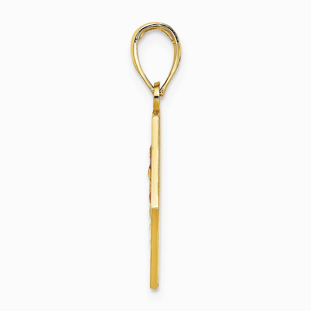 10K / 14K Yellow Gold Enameled Medical Disc Pendant - Product Photo
