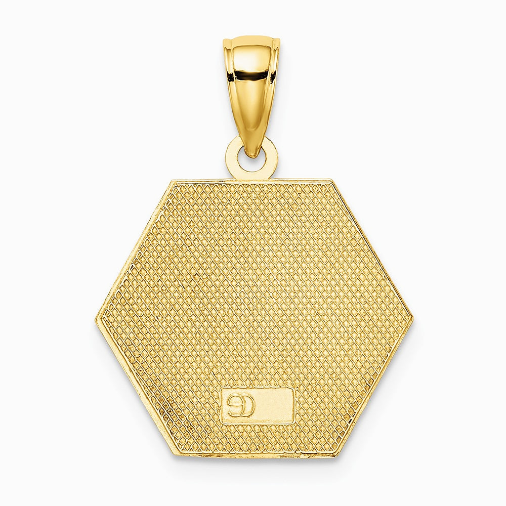 10K / 14K Yellow Gold Enameled Medical Disc Pendant - Product Photo