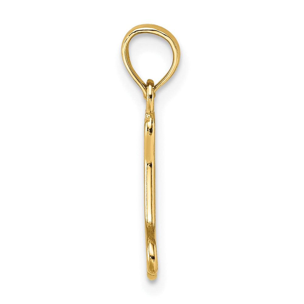 10K / 14K Yellow Gold Cut-Out Polished Mini Dog Bone Charm - Product Photo