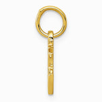 10K / 14K Yellow Gold Chinese Symbol "Good Luck" Charm - Product Photo