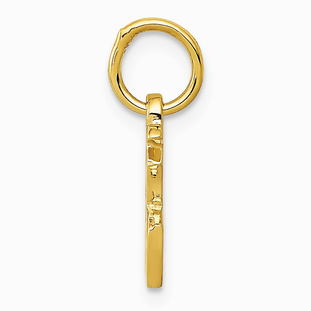 10K / 14K Yellow Gold Chinese Symbol "Good Luck" Charm - Product Photo