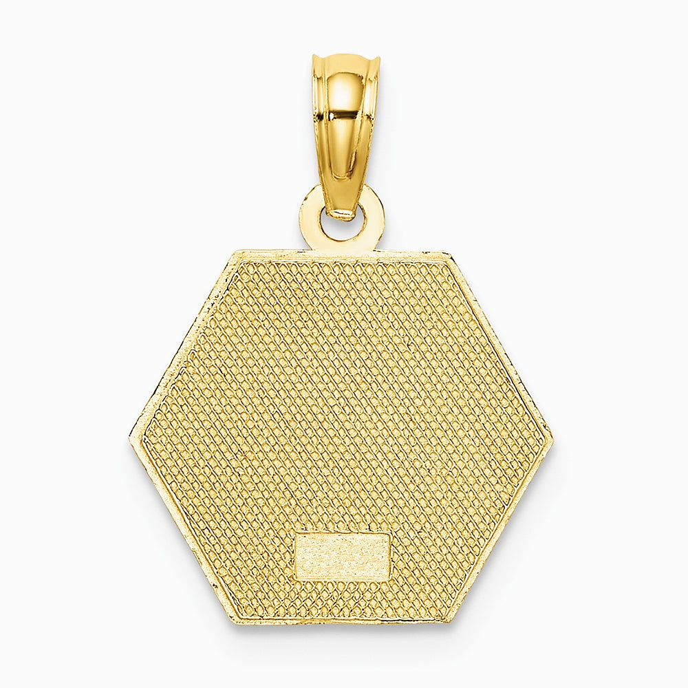 10K / 14K Yellow Gold Medical Disc Pendant - Product Photo