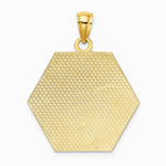 10K / 14K Yellow Gold Medical Disc Pendant - Product Photo