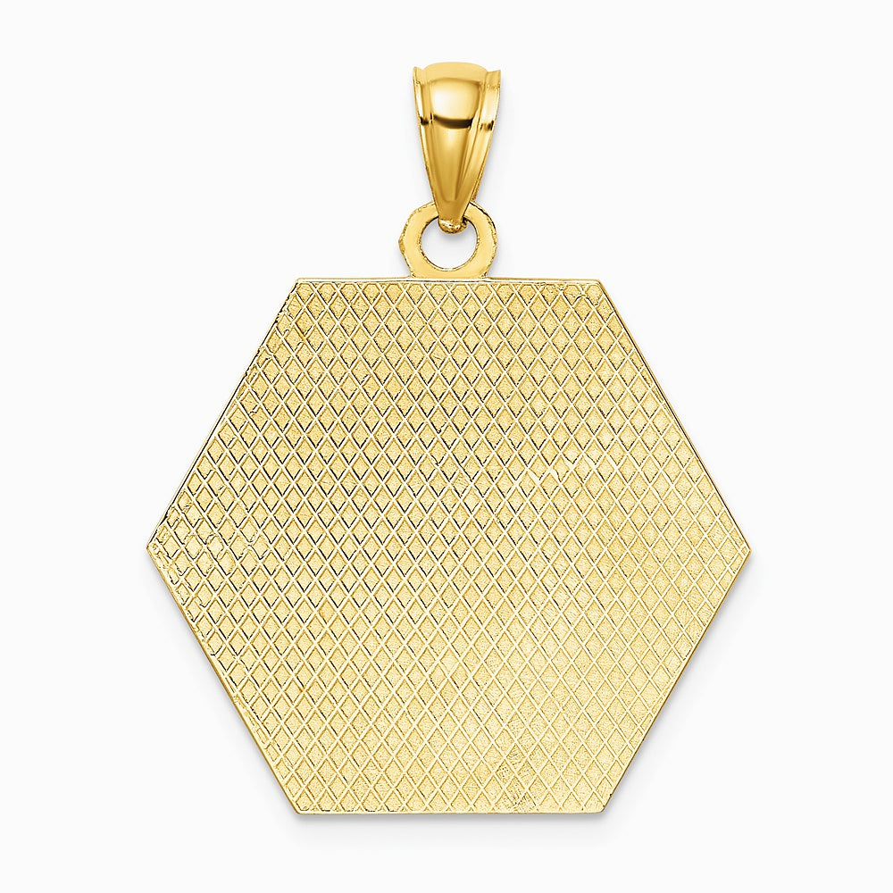 10K / 14K Yellow Gold Medical Disc Pendant - Product Photo