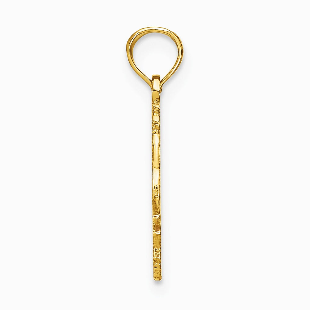 10K / 14K Yellow Gold CAPRICORN Zodiac Charm - Product Photo
