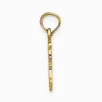 10K / 14K Yellow Gold AQUARIUS Zodiac Charm - Product Photo