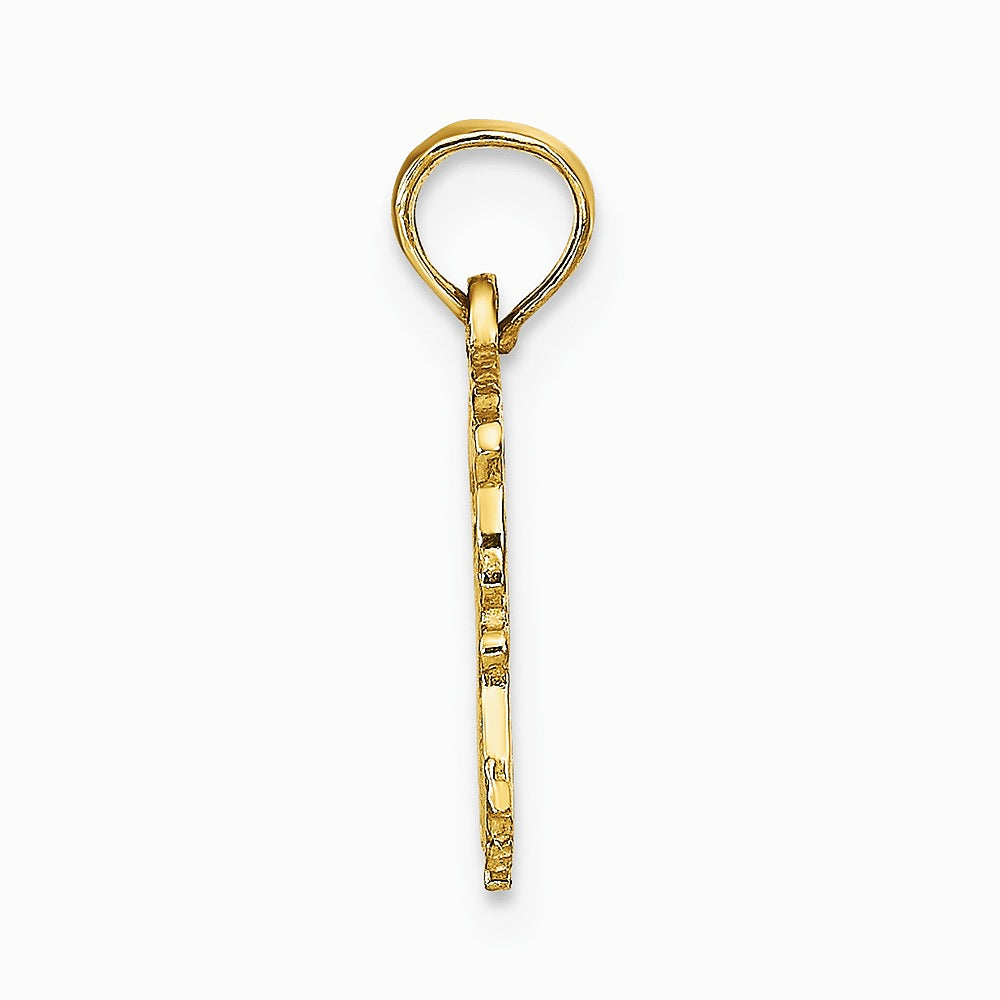 10K / 14K Yellow Gold AQUARIUS Zodiac Charm - Product Photo