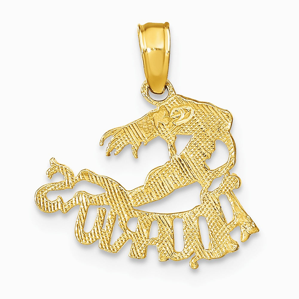 10K / 14K Yellow Gold AQUARIUS Zodiac Charm - Product Photo