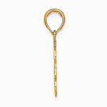 10K / 14K Yellow Gold LEO Zodiac Charm - Product Photo