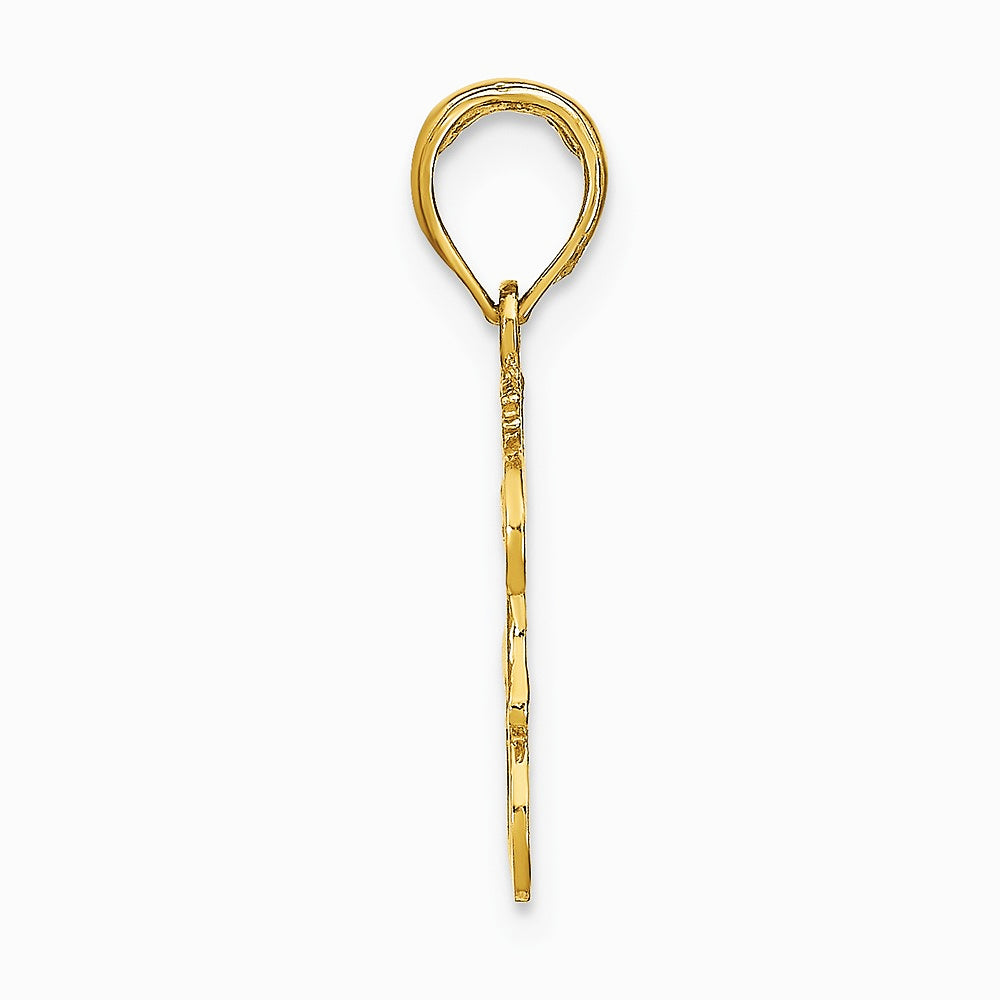 10K / 14K Yellow Gold LEO Zodiac Charm - Product Photo