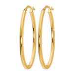 10K Yellow Gold Polished Oval Hinged Hoop Earrings - Product Photo