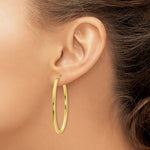 10K Yellow Gold Polished Oval Hinged Hoop Earrings - Product Photo
