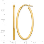 10K Yellow Gold Polished Oval Hinged Hoop Earrings - Product Photo